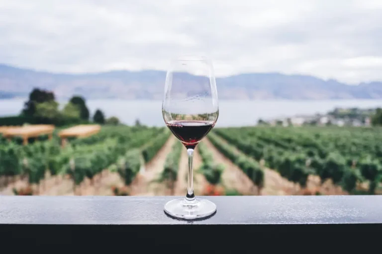 marketing-vinicolo