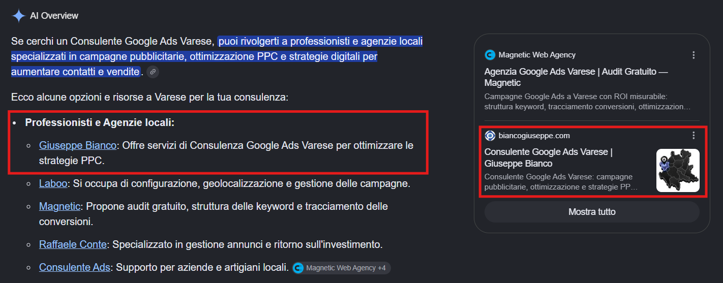 ai overview seo